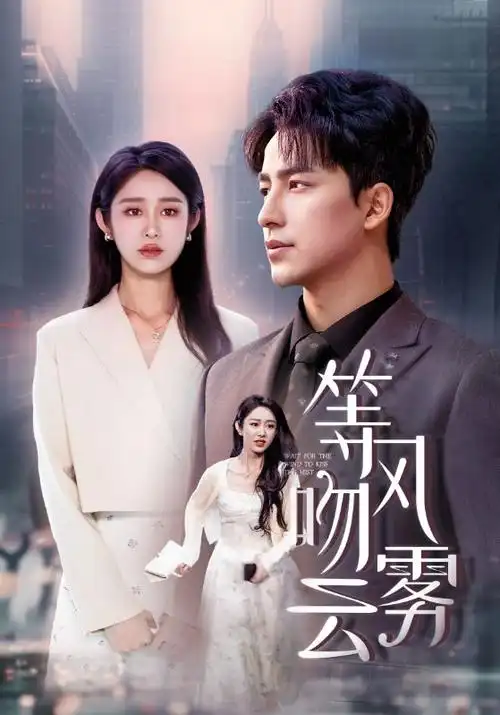 第七夜班 热播电视剧全集免费观看